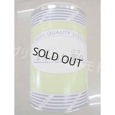 画像1: 送料無料　[小松菜]　よかった菜Ｇ　1L　カネコ種苗（株）