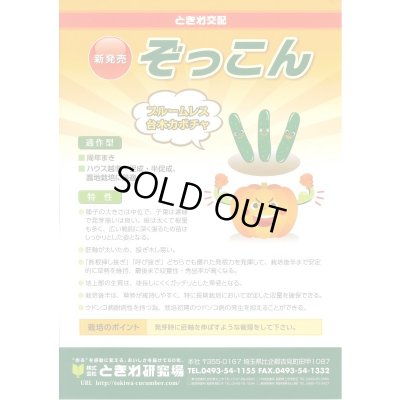 画像2: 送料無料　[台木/キュウリ用]　ぞっこん　20粒　(株)ときわ研究場