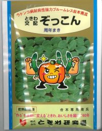 [台木/キュウリ用]　ぞっこん　20粒　（株）ときわ研究場