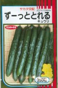 送料無料　[キュウリ]　ずーっととれる　350粒　(株)サカタのタネ