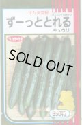 送料無料　[キュウリ]　ずーっととれる　350粒　(株)サカタのタネ