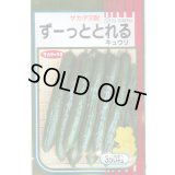 送料無料　[キュウリ]　ずーっととれる　350粒　(株)サカタのタネ