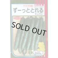 送料無料　[キュウリ]　ずーっととれる　350粒　(株)サカタのタネ