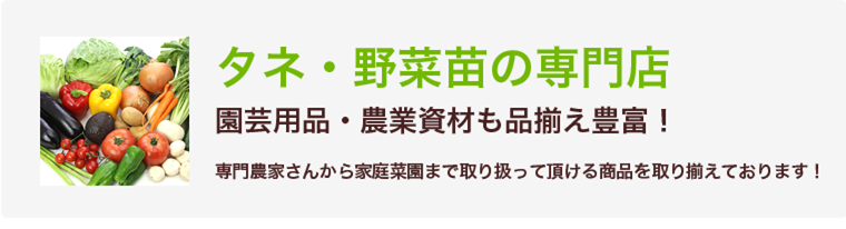 いらっしゃいませ グリーンロフトネモトです
