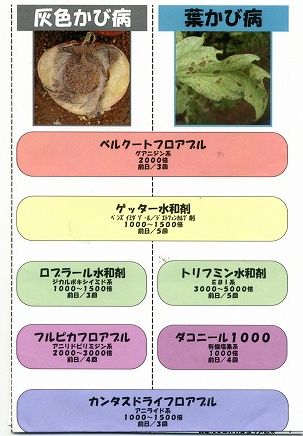 トマトの農薬