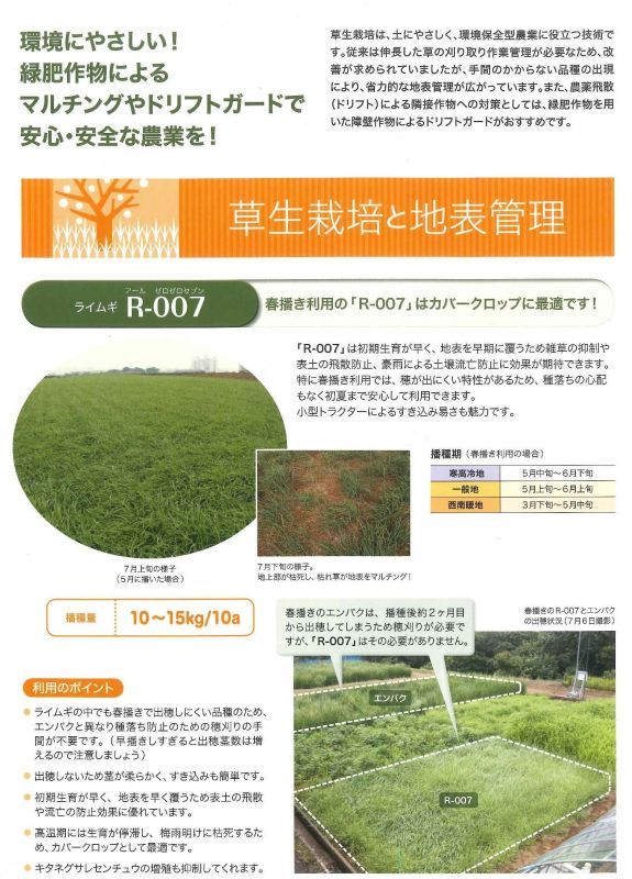 [緑肥]　ライ麦　R-007　1kg 雪印種苗