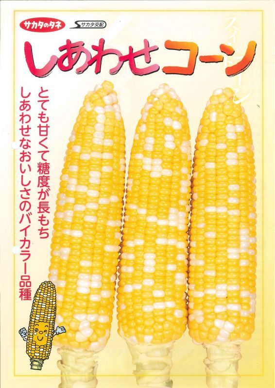 とうもろこし] しあわせコーン 200粒（10％増量） サカタのタネ(野菜種/とうもろこし)グリーンロフトネモト直営