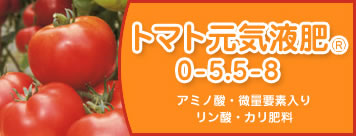 肥料 リン酸 カリ肥料 トマト元気液肥 タキイ種苗 肥料 グリーンロフトネモト直営