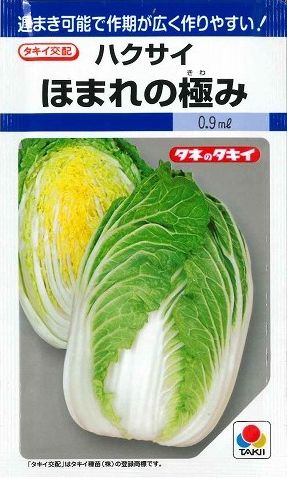 白菜 ほまれの極み 0 9ｍｌ タキイ交配 Df 野菜種 白菜 グリーンロフトネモト直営