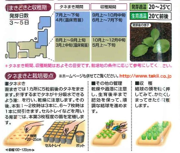 白菜 Crお黄にいり ｍｌ 貴種 コートしてません タキイ交配 野菜種 白菜 グリーンロフトネモト直営