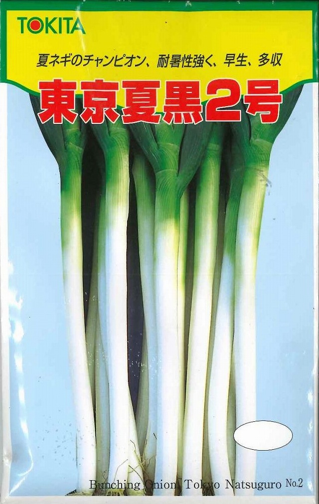 ねぎ 東京夏黒２号 ml トキタ種苗 野菜種 ネギ グリーンロフトネモト直営