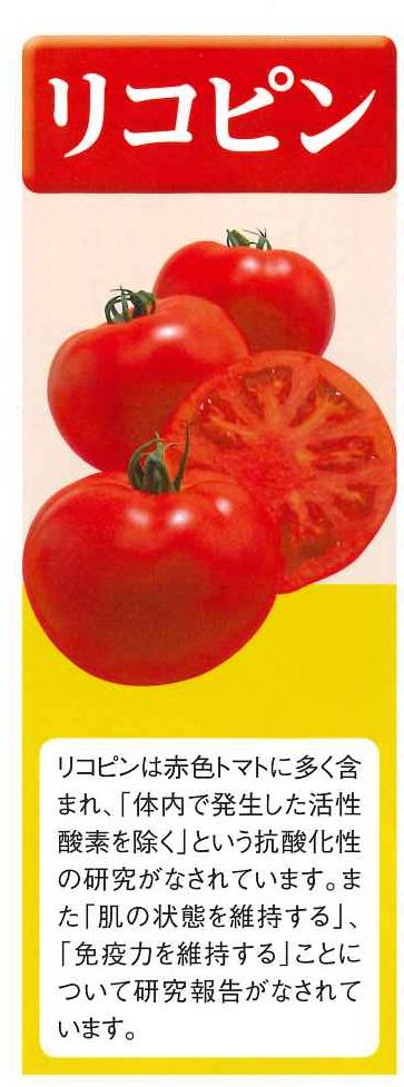 倉 蕃茄 トマト とまと タキイ交配 1000粒1センR 桃太郎ホープトマト 葉菜