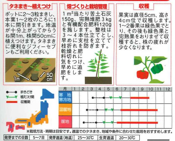 ピーマン フルーツパプリカ セニョリータ ミックス 約10粒 サカタ交配 実咲 野菜種 ピーマン とうがらし グリーンロフトネモト直営