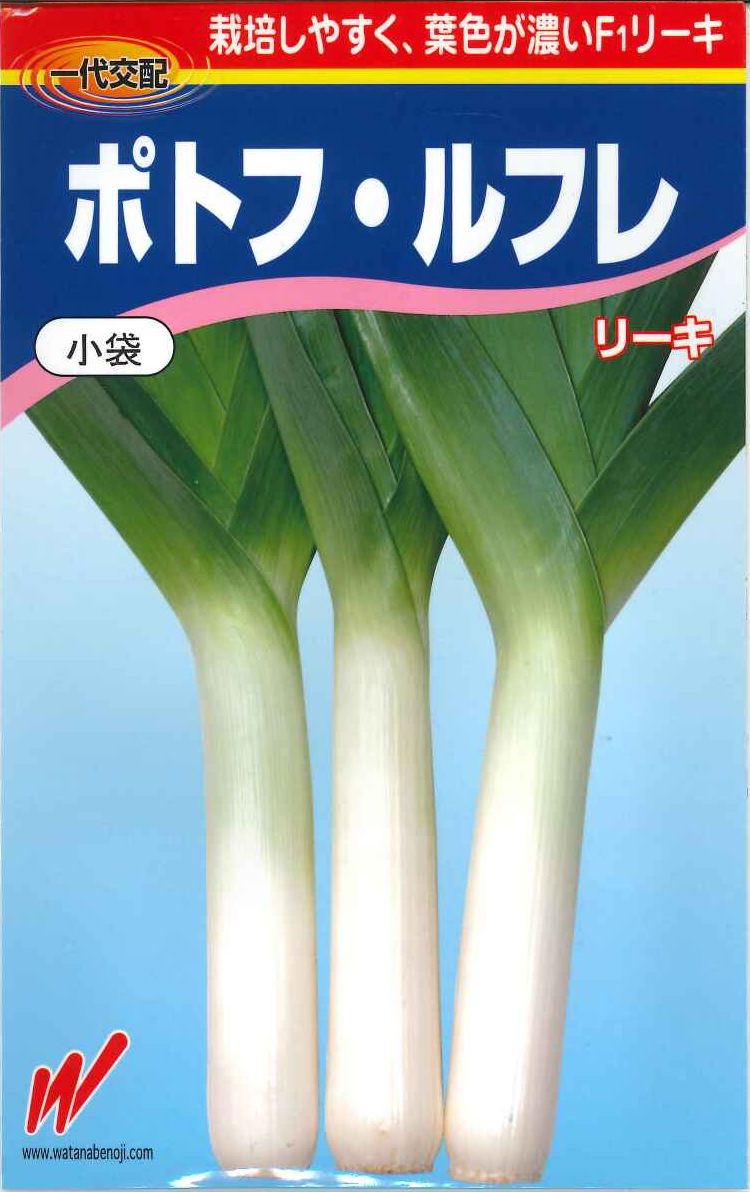 ねぎ リーキ ポトフ ルフレ 1000粒 渡辺農事 野菜種 ネギ グリーンロフトネモト直営