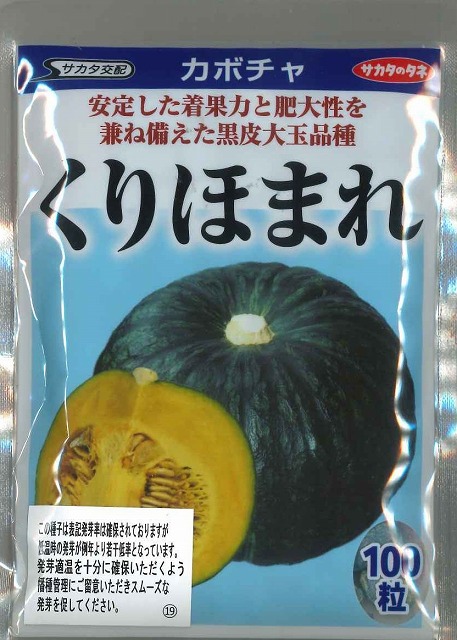 プレゼントを選ぼう！ 野菜の種 種子 ブラックのジョー カボチャ かぼちゃ 100粒 メール便発送 サカタのタネ 種苗 