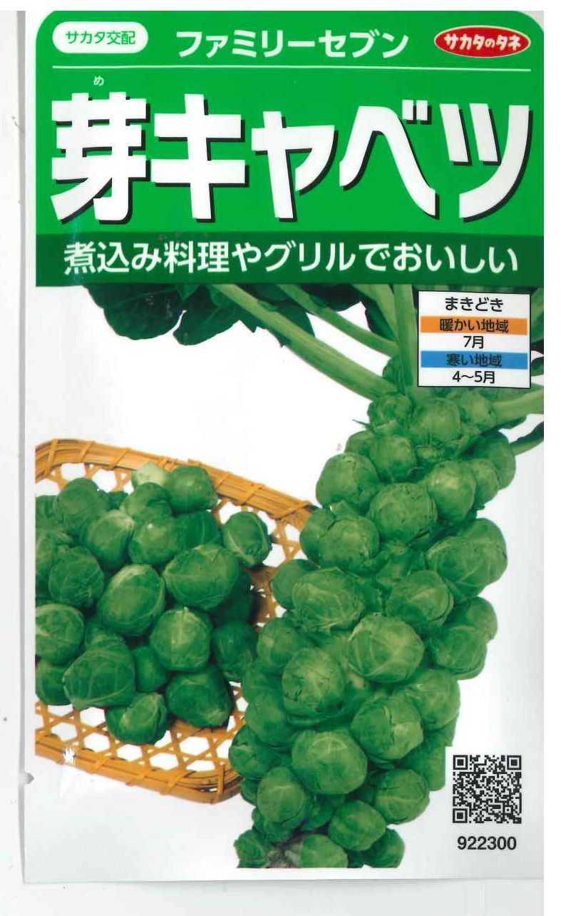 野菜種 芽キャベツ ファミリーセブン ml サカタ交配 野菜種 キャベツ グリーンロフトネモト直営