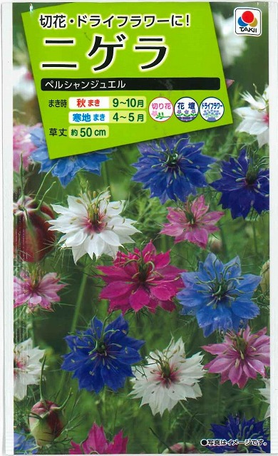 花種 小袋 ニゲラ ペルシャンジュエル 1 5ml タキイ種苗 花種 花種 小袋 春まき グリーンロフトネモト直営