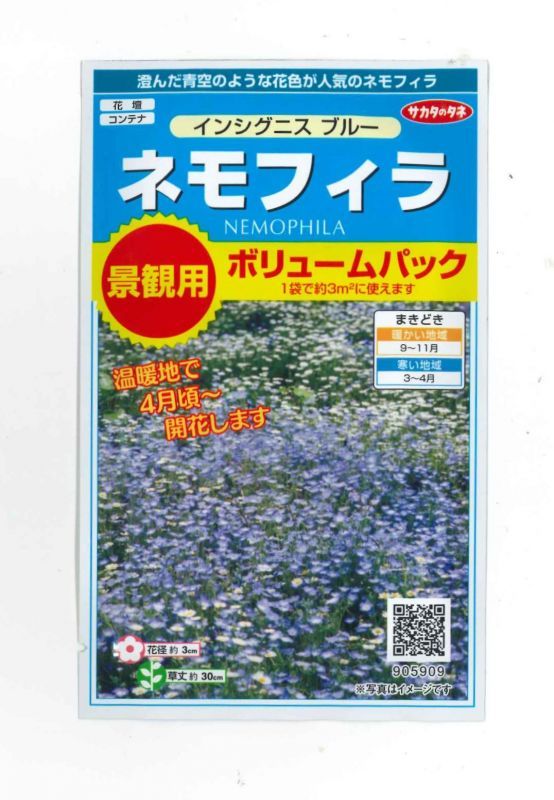 送料無料 花の種 景観用 ネモフィラ インシグニスブルー 約３平米用 サカタのタネ 花種 花種 小袋 秋まき グリーンロフトネモト直営