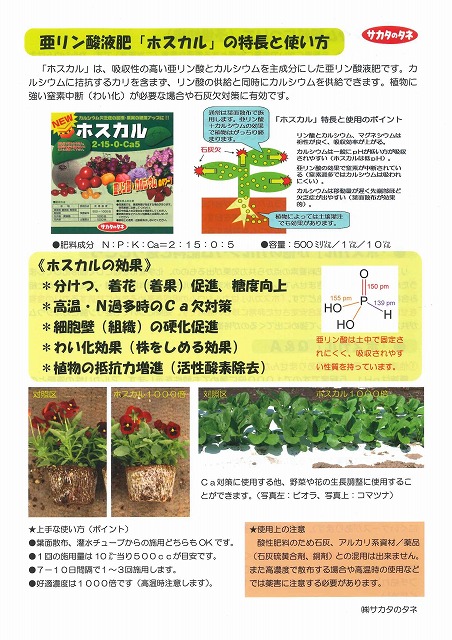 肥料 ホスカル 1ｌ サカタのタネ 肥料 グリーンロフトネモト直営