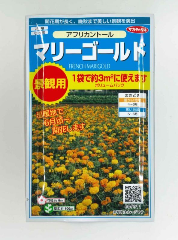 花種 小袋 マリーゴールド アフリカントール 約3平米用 サカタのタネ 花種 花種 小袋 春まき グリーンロフトネモト直営