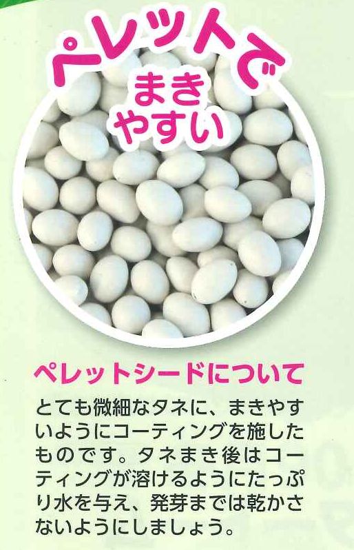 ブロッコリー] ウインタードーム ペレット120粒 サカタ交配 (野菜種/ブロッコリー・カリフラワー)グリーンロフトネモト直営