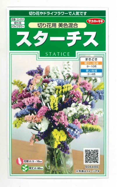 送料無料 花の種 スターチス 切り花用 美色混合 約54粒 サカタのタネ 花種 花種 小袋 秋まき グリーンロフトネモト直営