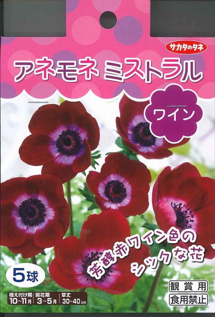 球根 アネモネ ミストラルワイン ５球入り サカタのタネ グリーンロフトネモト