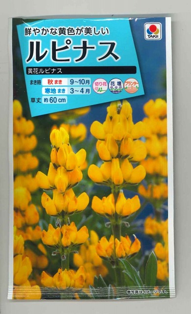 花種 小袋 ルピナス 黄花ルピナス 小袋 タキイ交配 花種 花種 小袋 秋まき グリーンロフトネモト直営