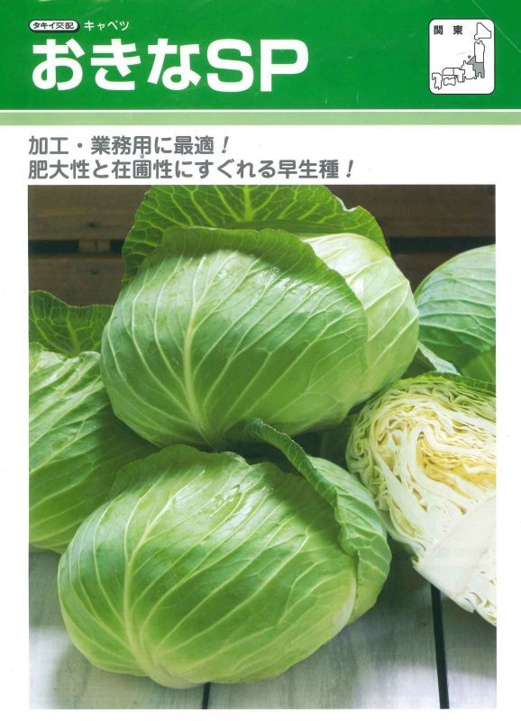8043円 新作グッ キャベツの種 青琳 ペレット5千粒 野菜の種