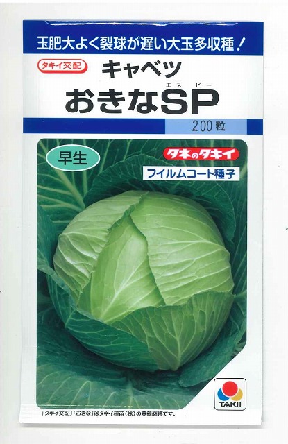 楽天 タキイ種苗 DF キャベツ おきなSP 葉菜