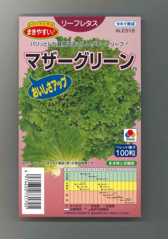 商品追加値下げ在庫復活 グリーンリーフレタスノーチップ 野菜の種 レタスの種 L