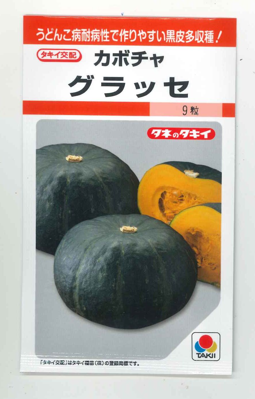 97%OFF!】 かぼちゃ グラッセ 100粒 タキイ種苗