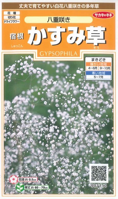 花種 小袋 宿根 かすみ草 八重咲き 小袋 サカタのタネ 花種 花種 小袋 春 秋まき グリーンロフトネモト直営