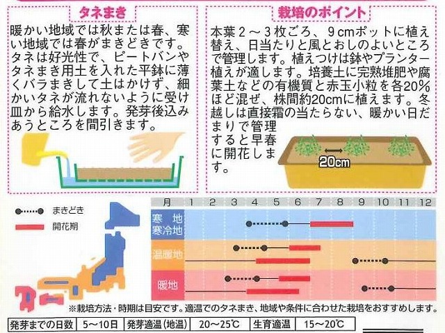 花種/小袋] ロベリア リビエラミックス 約715粒 サカタのタネ(花種/花種（小袋）春・秋まき)グリーンロフトネモト直営