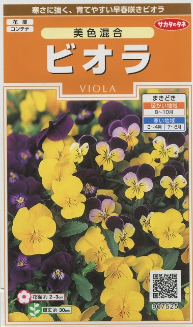 花の種 オール１割引き ビオラ 美色混合 約58粒 サカタのタネ 花種 花種 小袋 秋まき グリーンロフトネモト直営