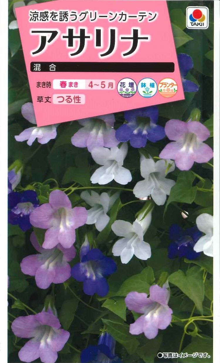 花種 小袋 アサリナ 混合 混合 タキイ交配 花種 花種 小袋 春まき グリーンロフトネモト直営