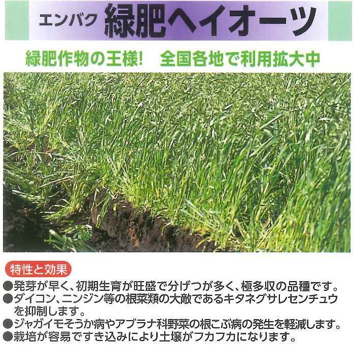 激安正規品 緑肥の種 えん麦 スワン 1kg