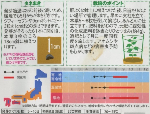 花種 小袋 朝顔 暁の海 約10粒 サカタのタネ 花種 花種 小袋 春まき グリーンロフトネモト直営