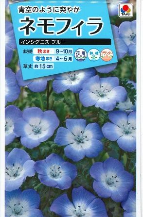 花種 小袋 ネモフィラ インシグニスブルー 1ｍｌ タキイ種苗 花種 花種 小袋 秋まき グリーンロフトネモト直営