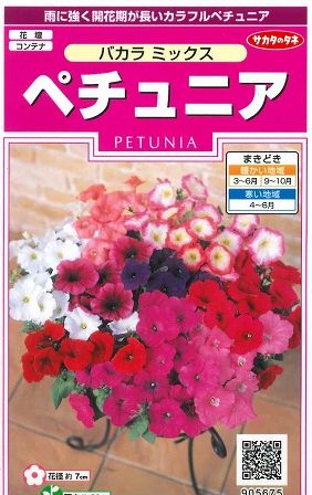 花種 小袋 ペチュニア バカラミックス 小袋 サカタのタネ 花種 花種 小袋 秋まき グリーンロフトネモト直営 花種 小袋 ペチュニア バカラミックス 小袋 サカタのタネ 花種 花種 小袋 秋まき グリーンロフトネモト直営