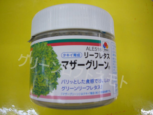 レタス 送料無料 リーフレタス マザーグリーン コート種 5000粒 タキイ育成 野菜種 レタス グリーンロフトネモト直営