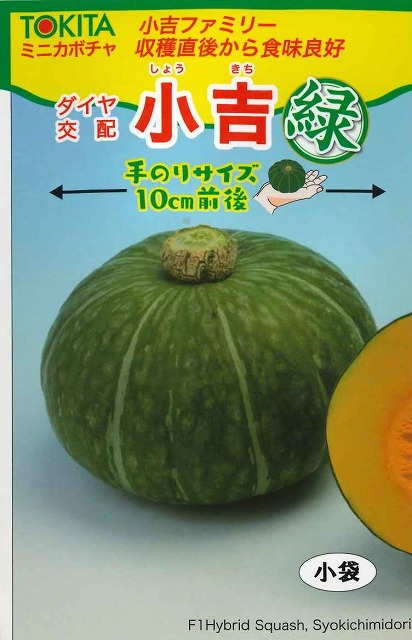 かぼちゃ ミニカボチャ 小吉ファミリー 緑 7粒 ダイヤ交配 野菜種 かぼちゃ ズッキーニ グリーンロフトネモト直営