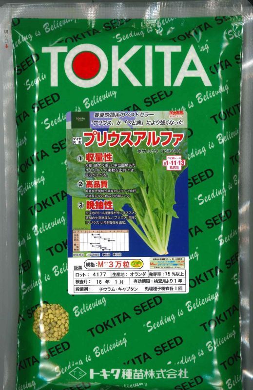 野菜種 ほうれんそう プリウスアルファ ｍ3万粒 ダイヤ交配 野菜種 ほうれんそう グリーンロフトネモト直営