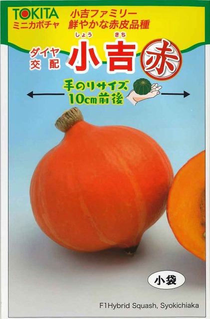かぼちゃ ミニカボチャ 小吉ファミリー 赤 7粒 ダイヤ交配 野菜種 かぼちゃ ズッキーニ グリーンロフトネモト直営