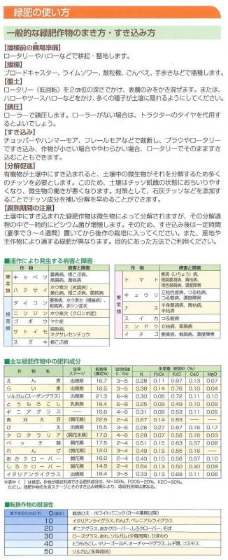 緑肥] からしな 黄花のちから 1kg タキイ種苗（株）(緑肥 燕麦（エンバク）ソルゴー/大袋)グリーンロフトネモト直営