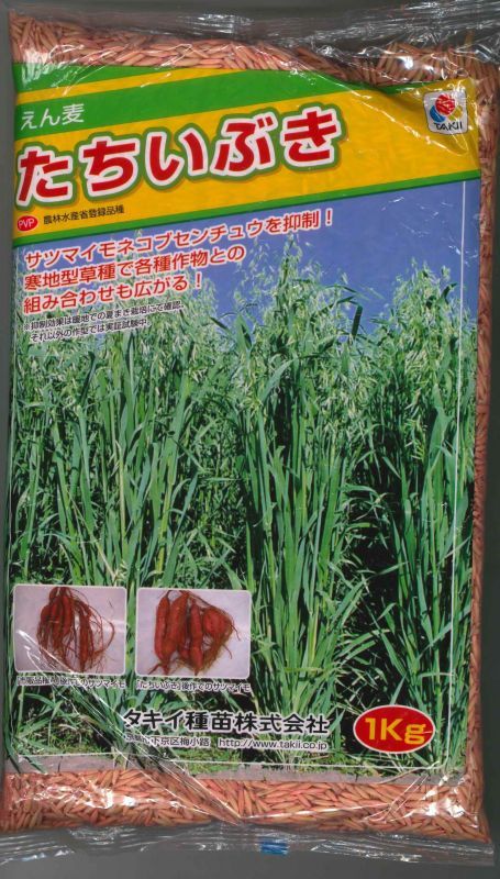 市場 タキイ種苗 種子 芝草 緑肥 えん麦