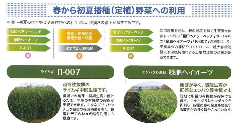 アイテム勢ぞろい ベジタブルガーデン ハラダセスバニア 田助 でんすけ 1kg 緑肥 飼料 牧草作物 種 雪印種苗 ultraledcampinas.com.br