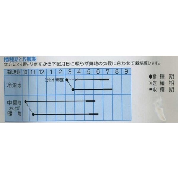 画像2: 送料無料　[グリーンピース]　緑ウスイ　1dl　(株)タカヤマシード (2)