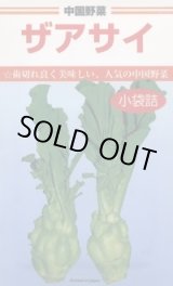 画像: [中国野菜]　ザアサイ　5ml  　カネコ種苗株式会社