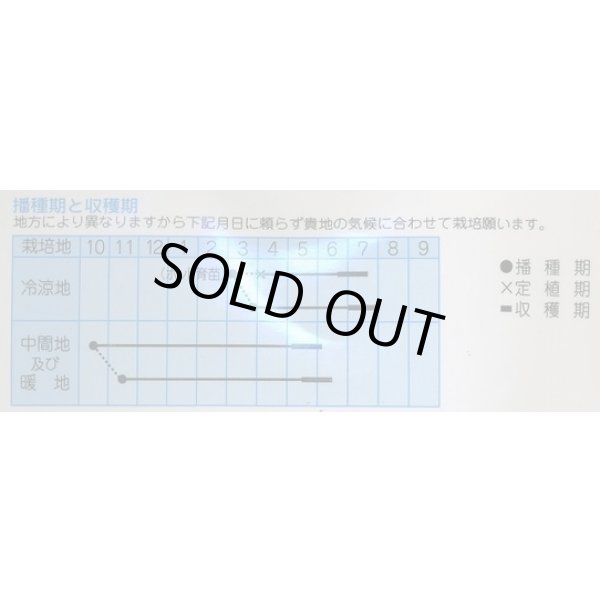 画像2: 送料無料　[えんどう]　紫御膳　10ml　(株)タカヤマシード (2)